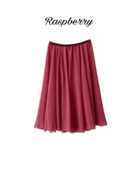 Image 9 of Chiffon Rehearsal Circle Skirt 2