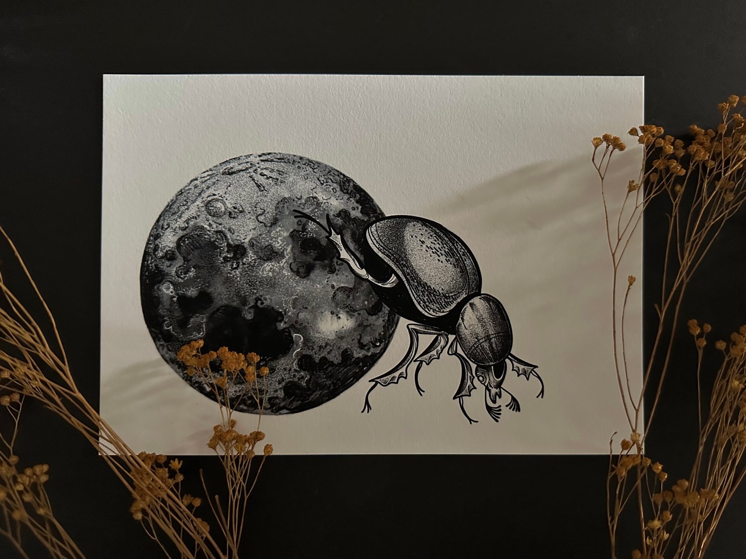 Image of Dung Beetle Print A5