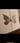 Metallic Butterfly 