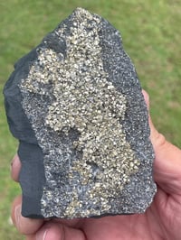 Image 7 of Shungite With Cubic Pyrite #569