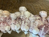 Image 6 of Seashell Mirror 21”