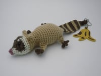 Image 3 of Raccoon Charms