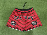 Glen Oaks shorts