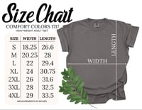 Image 7 of Texas Chica Embroidered T-Shirt / Custom Colors
