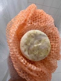 Image 3 of Sapo sponge 
