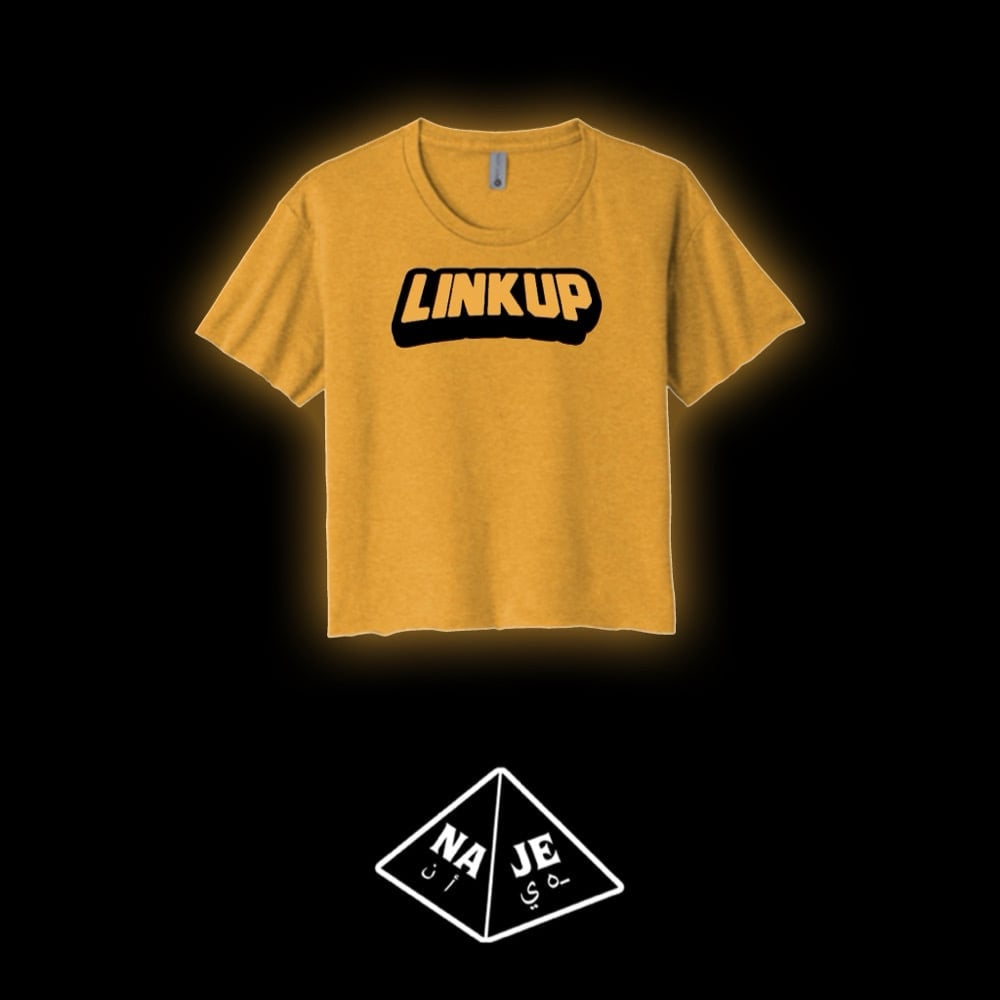 LINK UP COLLEGE (BROWN EARTH TONE)