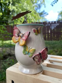 Image 1 of 'Pink Princess' Alocasia in Butterfly Vessel