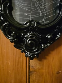 Image 5 of Antique ornate frame with a real preserved walnut orbwiever spider web 