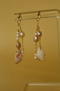 Image 1 of Coral shell earrings 