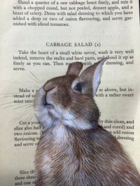 Image 2 of Cabbage Salad