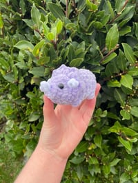 Image 3 of mini triceratops plushie