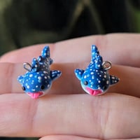 Image 1 of Whale Shark