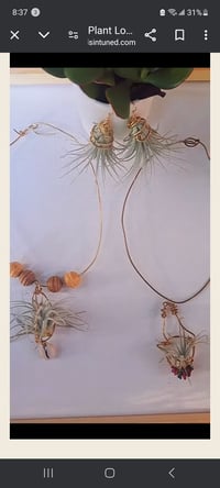Image 4 of Air Plant Necklace with Wooden Beads