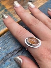 Image 2 of You’re So Golden 