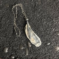 Image 2 of nailed to the shell necklace