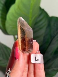 Image 13 of CHOOSE YOUR OWN NATURAL (UNPOLISHED) RUTILE IN QUARTZ POINT -BRAZIL-