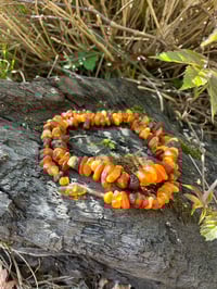 Image 1 of Baltic Amber Necklace 