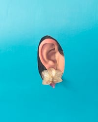 Image 4 of Orquídea “Phalaenopsis” | “stud”