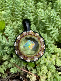 Image 4 of Opal Shells
