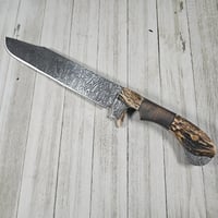 Image 4 of Antler Chopper Crushed W Dama