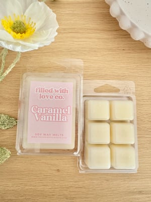Image of WAX MELTS