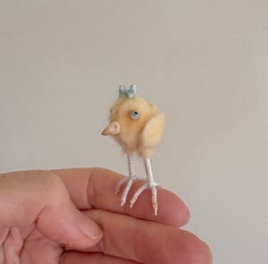 Image of Very Tiny Chicken Baby