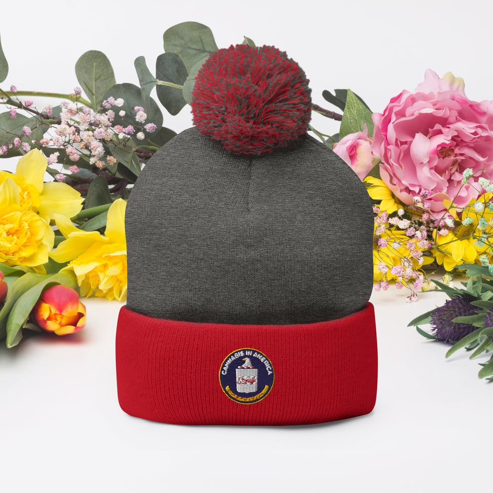 Cannabis in America Pom-Pom Beanie