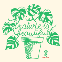 Image 5 of Nature is beautiful