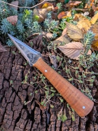 Image 2 of CURLY MAPLE DAGGER