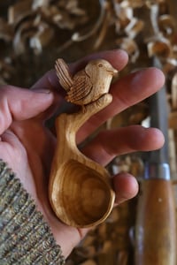 Image 3 of Jenny wren Bird Scoop