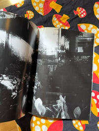 Image 12 of IT, Daido Moriyama, 2006. Hysteric Glamour