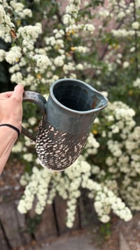 Image 2 of Pitcher 02