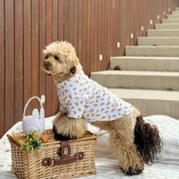 Image 1 of CROISSANT POINTELLE TOP