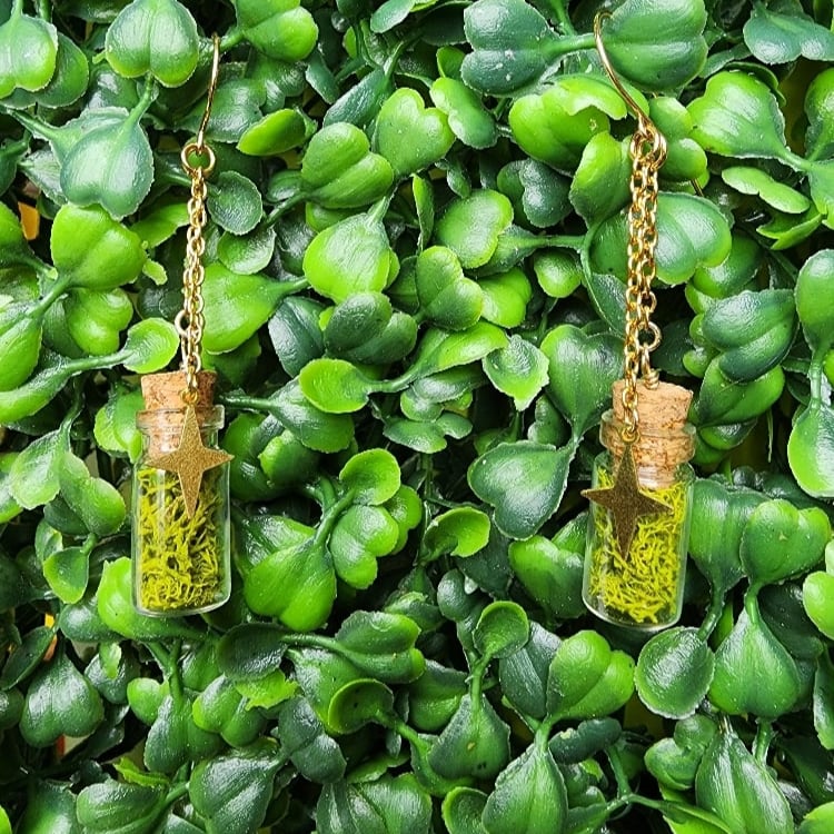 Image of mossy jar earrings