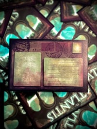 Image 5 of The Lost Empire