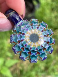 Image 1 of Blue Iris