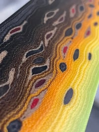 Image 1 of Brown Trout by Mikie