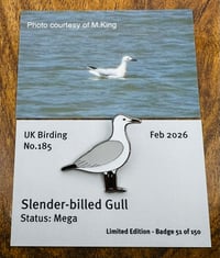 Image 1 of Slender-billed Gull - No.185 - UK Birding Pins