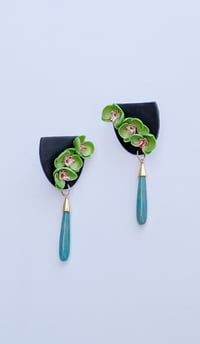 Image 1 of Orchids in Bloom