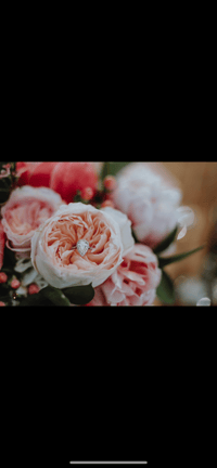 Image 2 of Event/ Wedding  standard 
