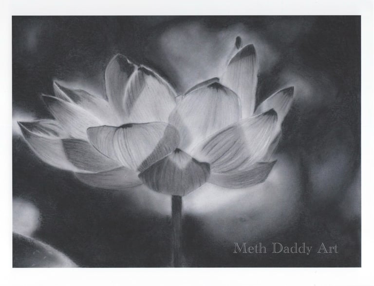 Lotus Flower print