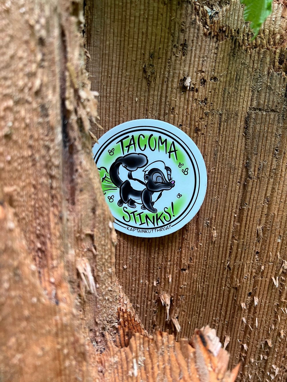 Tacoma Stinks!
