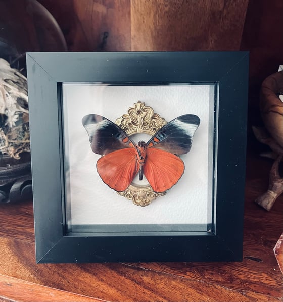Image of Mini Frame #1