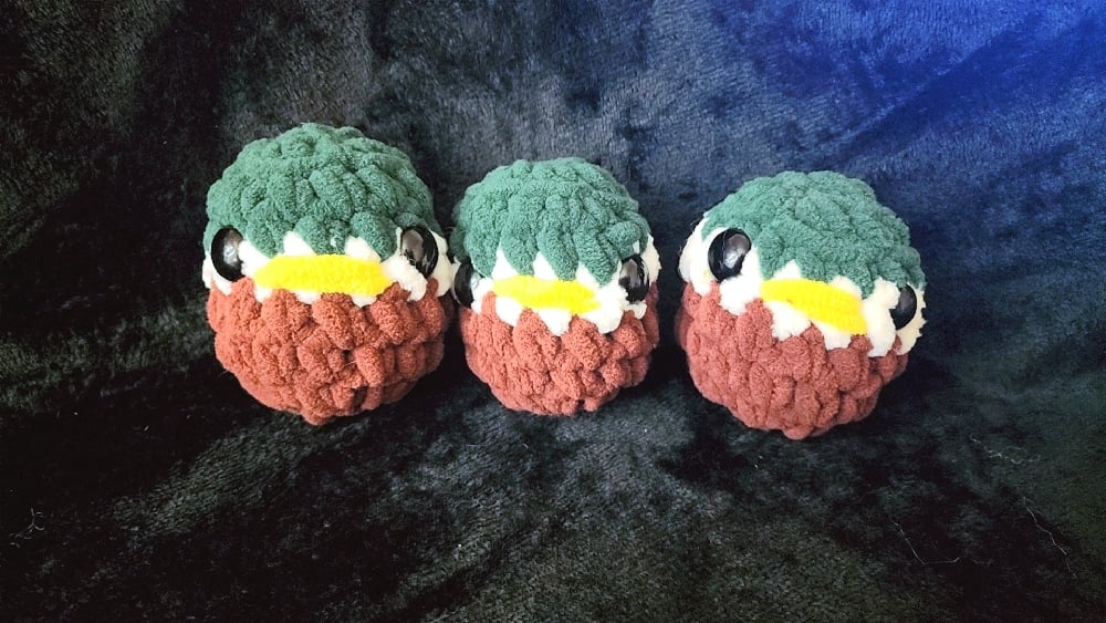 Image of Mallards