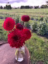 Image 2 of Dahlia Vase