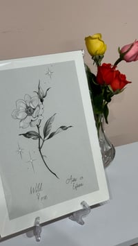 Wild Rose A4 Print