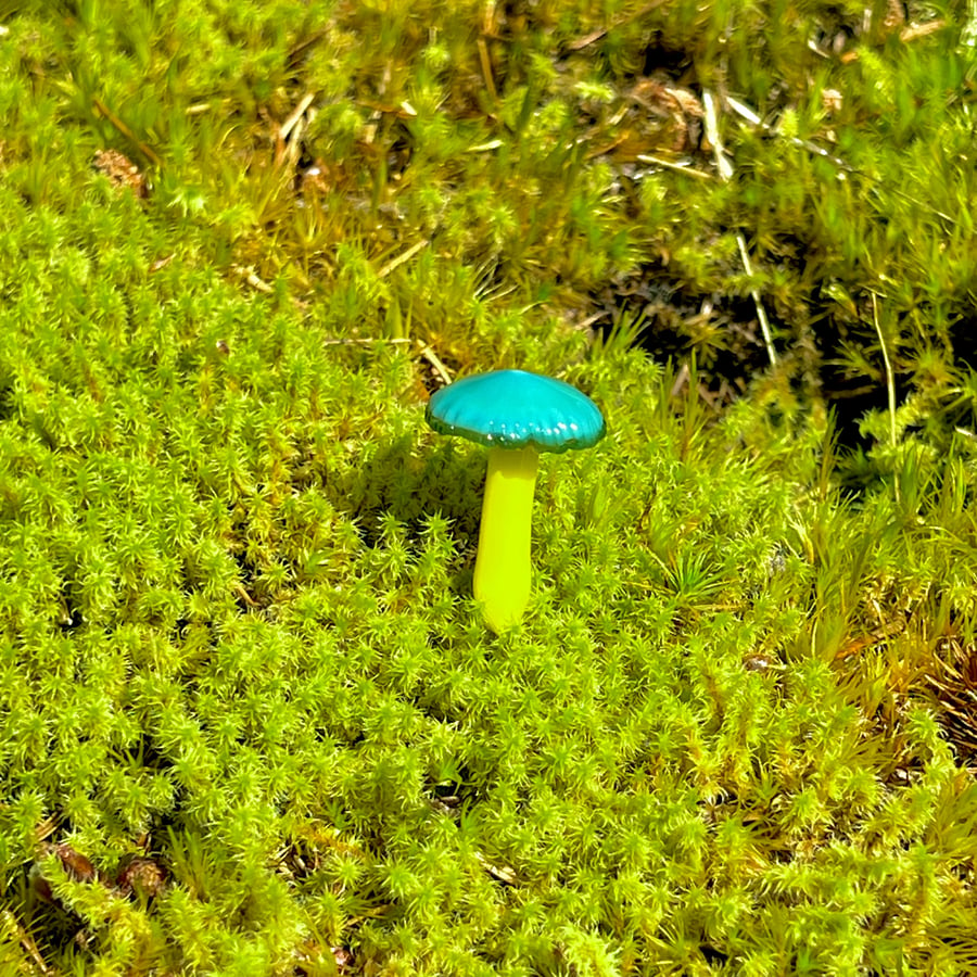 Image of Blue & Yellow Mushroom Plant Spike