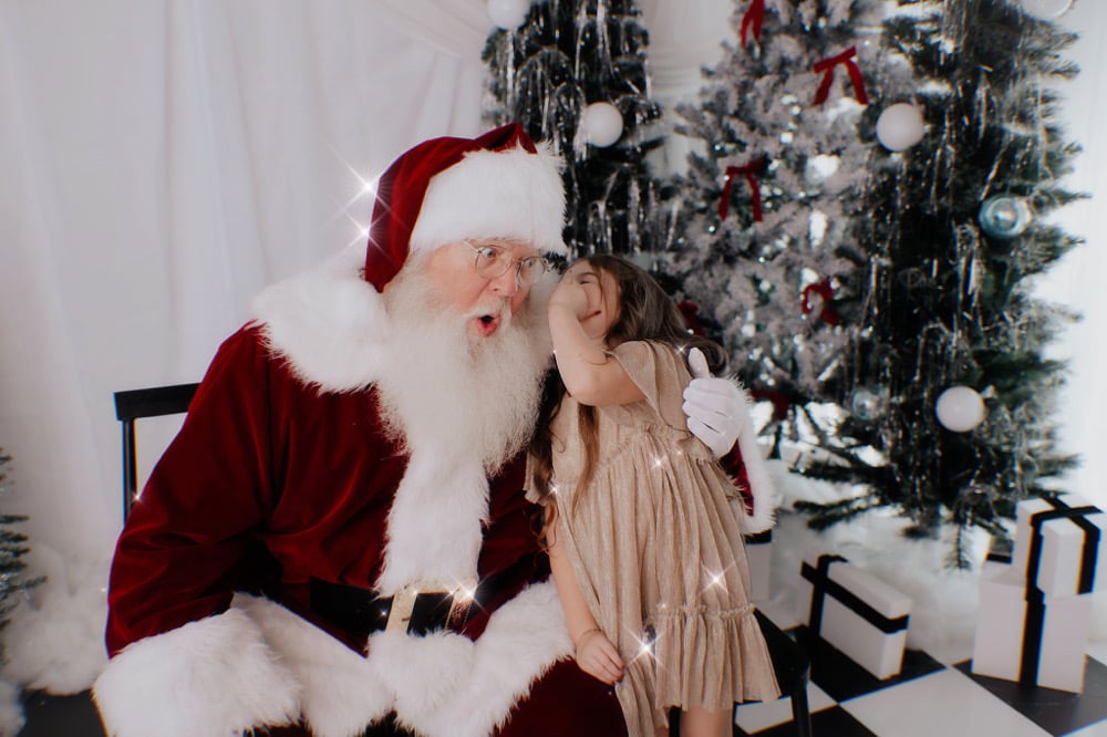 Image of Santa Minis @ The Studio<3 11/29/2025