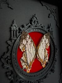 Image 3 of Map wing