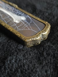 Image 3 of Repurposed Vanity series antique Anatomical with preserved web B